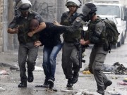 الاحتلال يعتقل شقيقين من بلدة الظاهرية جنوب الخليل بعد مداهمة منزليهما