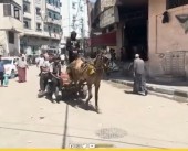 عربات تجرها حيوانات.. وسيلة النقل الوحيدة في غزة بعد نفاد الوقود