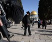 مئات المستوطنين يقتحمون المسجد الأقصى والاحتلال يشدد اجراءاته في مدينة القدس