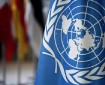 الأمم المتحدة تطالب بإجراء تحقيق شامل في مجزرة رفح جنوب القطاع