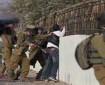 الاحتلال يحتجز مواطنين في تل الرميدة وسط الخليل