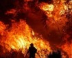 القناة 13 العبرية: حرائق الأراضي المحتلة التهمت 4000 دونم وإصابة 11 شخصا