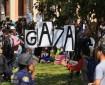 أساتذة بجامعة أمريكية يضربون عن الطعام تضامنا مع طلابهم الداعمين لغزة