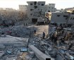 "آكشن إيد": الحرب تخلق آثارا مدمرة طويلة المدى على البيئة والتنوع الحيوي والبيولوجي في قطاع غزة