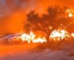 مستعمرون يحرقون أراضي زراعية في برقة شمال غرب نابلس