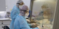 67 إصابة جديدة بفيروس كورونا في فلسطين