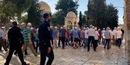 عشرات المستوطنين يتقدمهم وزير إسرائيلي يقتحمون " المسجدالأقصى"