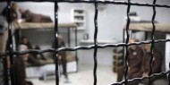 الأسيران «اغبارية» و«جبارين» يدخلان عاميهما الـ 31 في سجون الاحتلال