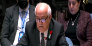 منصور: مجلس الأمن لم يستطع وقف إطلاق النار في غزة