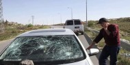 قطعان المستوطنين يعتدون على مركبات المواطنين جنوب جنين