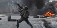 عشرات الإصابات بالغاز السام خلال مواجهات مع قوات الاحتلال في جنين