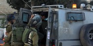 قوات الاحتلال تعتقل 3 شبان في يعبد غرب جنين