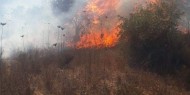 مستوطنو "يتسهار" يضرمون النار بعشرات أشجار الزيتون في بلدة حوارة جنوب نابلس