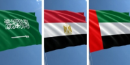 وزير الخارجية الإماراتي: مصر والسعودية ركيزتان للتضامن العربي