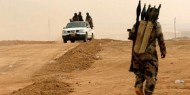 تدمير 10 أوكار لتنظيم داعش خلال عمليات تفتيش في العراق