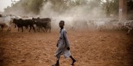 نيجيريا: 38 قتيلا في هجوم لصوص الماشية على 7 قرى شمال البلاد