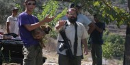 مستوطنون يقتحمون وادي الفارعة في طوباس تحت حماية جيش الاحتلال