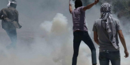 4 إصابات برصاص الاحتلال خلال مواجهات مع الاحتلال في قلقيلية