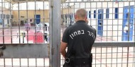 الأسير أمين كميل يدخل عامه الـ14 في سجون الاحتلال