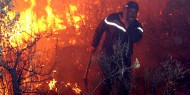 الحكم بإعدام 48 متهماً بحرائق الجزائر