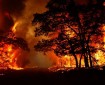 حرائق الغابات تدمر المنازل في اليونان وموسكو تعلن حالة التأهب