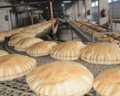 اقتصاد غزة: 8 شواقل سعر ربطة الخبز بدءا من يوم غد الإثنين