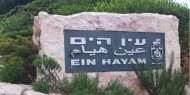 بلدية الاحتلال تلغي الاسم العربي لـ"وادي الجمال" في حيفا