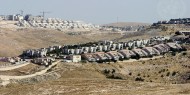 بوريل: إقامة "إسرائيل" مزيدا من المستوطنات لن يجعلها أكثر أمانا