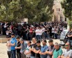 50 ألف مواطن يؤدون صلاة الجمعة في المسجد الأقصى